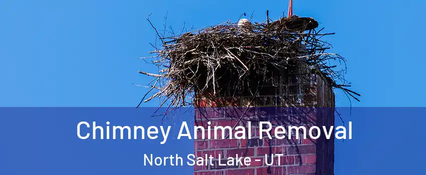 Chimney Animal Removal North Salt Lake - UT